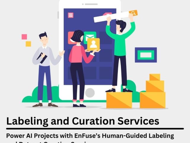 power-ai-projects-with-enfuses-labeling-services