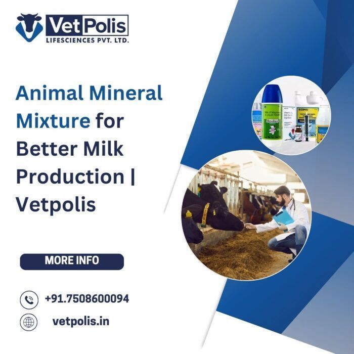 animal-mineral-mixture-vetpolis-for-healthy-cattle-big-0