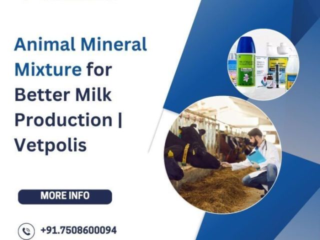 animal-mineral-mixture-vetpolis-for-healthy-cattle