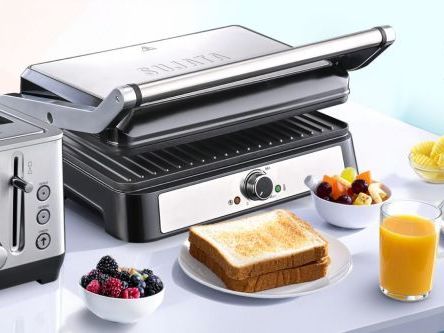 sandwich-maker-recipes-quick-5-minute-breakfast-ideas