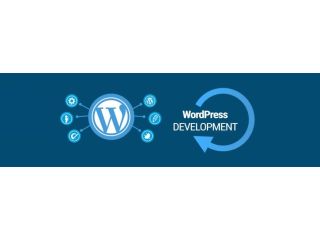 wordpress-development-services-in-noida-small-0