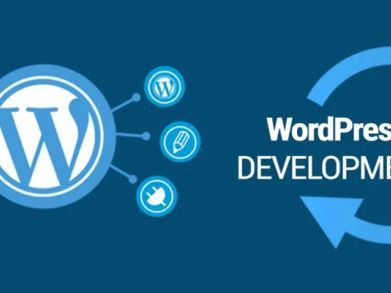 wordpress-development-services-in-noida