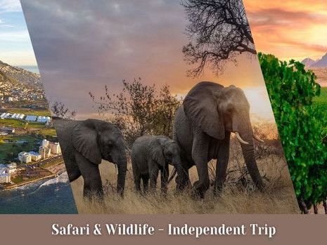 south-africa-tour-packages-wildlife-wine-wonders-await-you