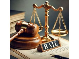 experienced-advocate-in-dwarka-court-for-civil-and-criminal-cases-small-0