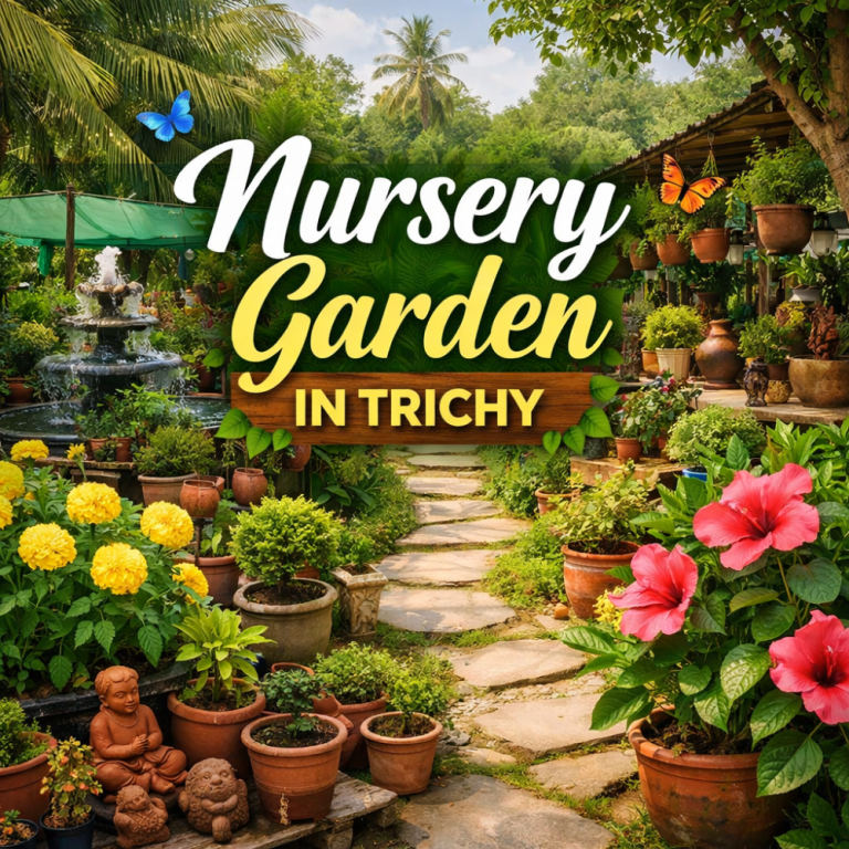enhance-your-home-with-a-nursery-garden-in-trichy-big-0