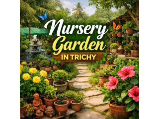 enhance-your-home-with-a-nursery-garden-in-trichy-small-0