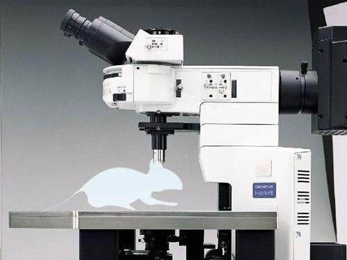 high-performance-real-time-pcr-systems-for-molecular-diagnostics