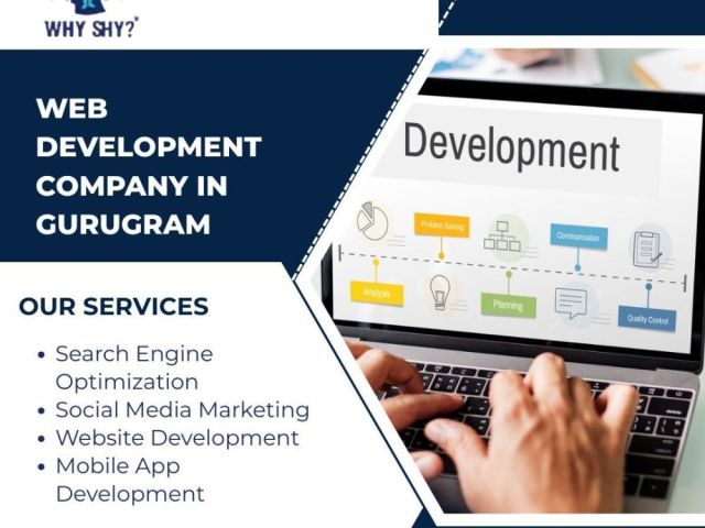 leading-web-development-company-in-gurugram-why-shy