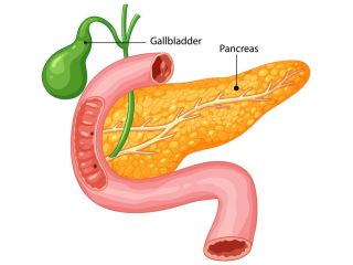 pancreas-transplant-cost-in-india-transplant-counsellor-small-0
