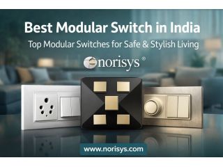 premium-switches-in-india-norisys-electrical-switches-small-0