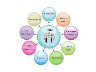 reliable-hrm-software-for-small-companies-small-0
