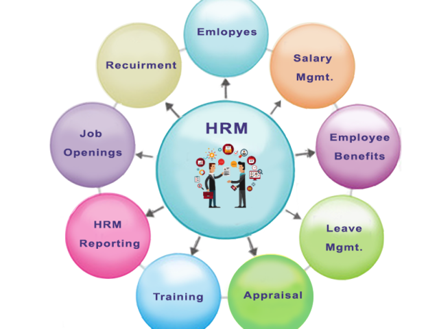 reliable-hrm-software-for-small-companies
