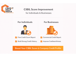 trusted-cibil-and-credit-score-improvement-agency-small-0