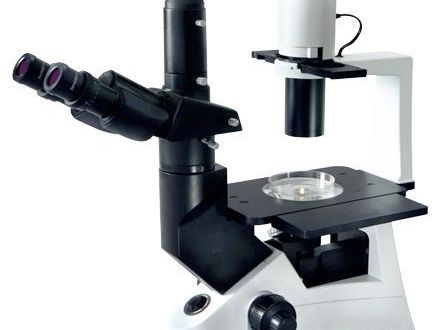 inverted-microscope-for-cell-culture-live-cell-imaging-magnus