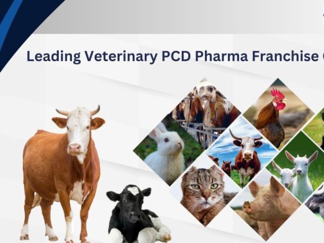 top-veterinary-pcd-franchise-company-for-animal-healthcare