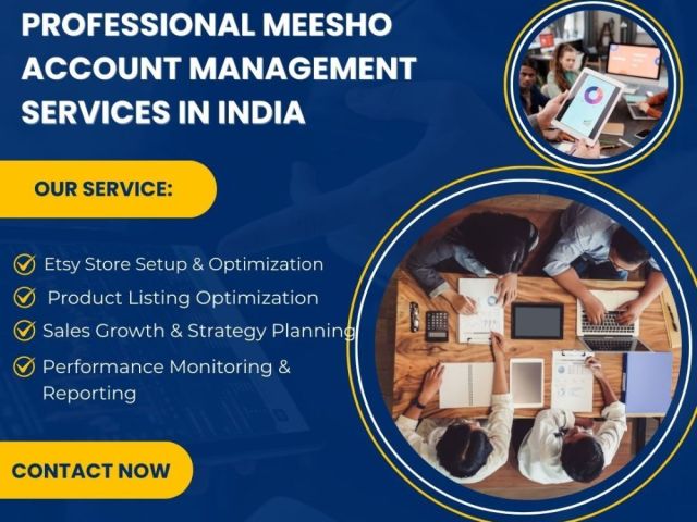 professional-meesho-account-management-services-in-india