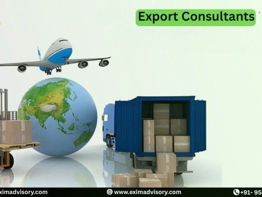best-expert-export-consultants-exim-advisory