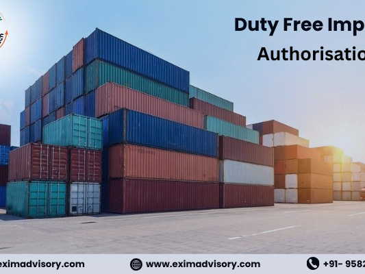 duty-free-import-authorisation-consultancy-exim-advisory