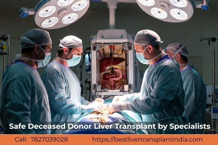 trusted-deceased-donor-liver-transplant-solutions-india-big-0