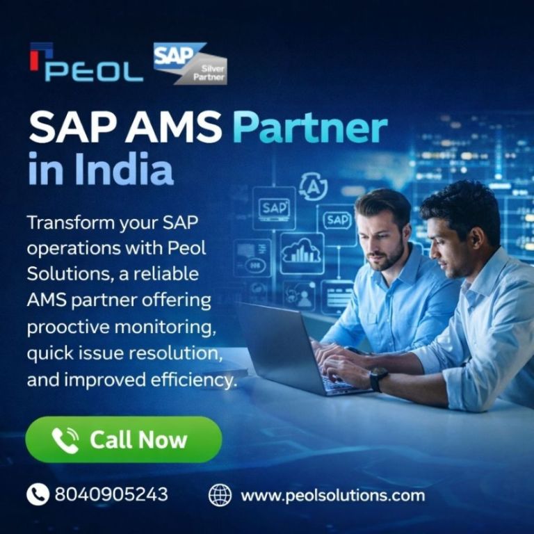 sap-ams-partner-in-india-sap-solution-in-bangalore-big-0