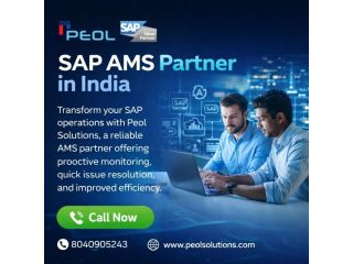 sap-ams-partner-in-india-sap-solution-in-bangalore-small-0