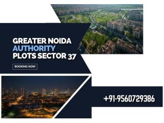 premium-living-at-sector-37-greater-noida-small-0