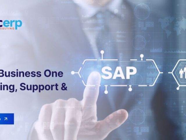 sap-business-one-support-training-services