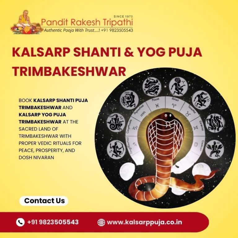 kalsarp-shanti-yog-puja-trimbakeshwar-pandit-rakesh-tripathi-big-0
