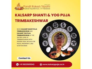 kalsarp-shanti-yog-puja-trimbakeshwar-pandit-rakesh-tripathi-small-0