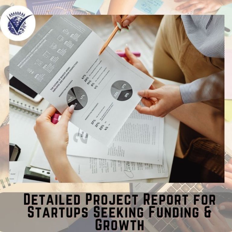 detailed-project-report-for-startups-seeking-funding-growth-big-0