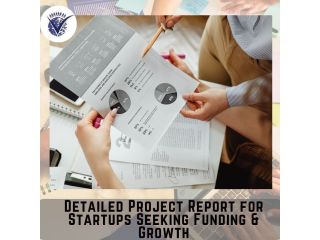 detailed-project-report-for-startups-seeking-funding-growth-small-0