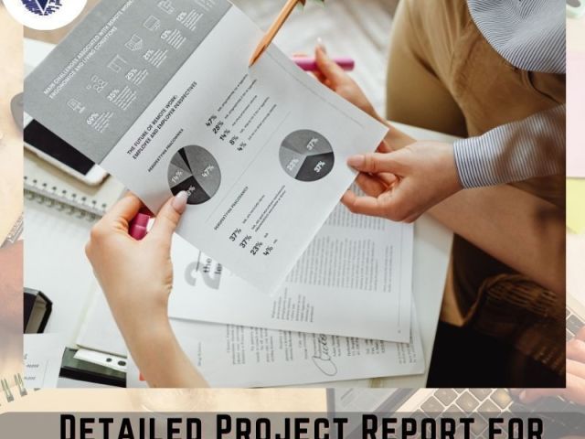 detailed-project-report-for-startups-seeking-funding-growth