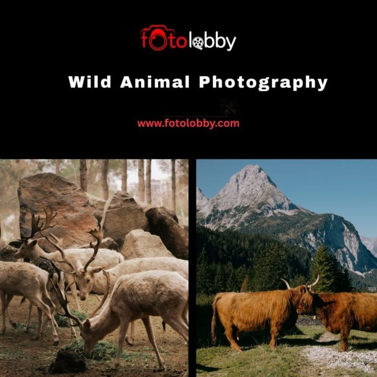 wild-animal-photography-by-fotolobby-big-0