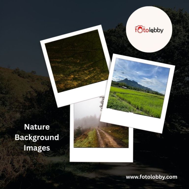 nature-background-images-by-fotolobby-big-0