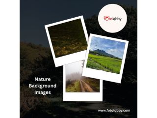 nature-background-images-by-fotolobby-small-0