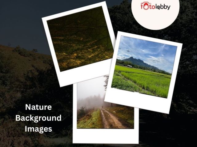 nature-background-images-by-fotolobby
