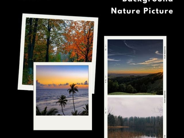 background-nature-picture-by-fotolobby