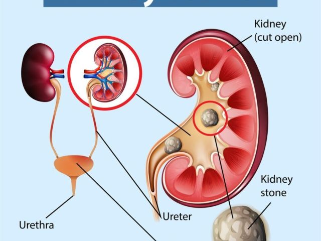 best-ayurvedic-hospital-in-gurgaon