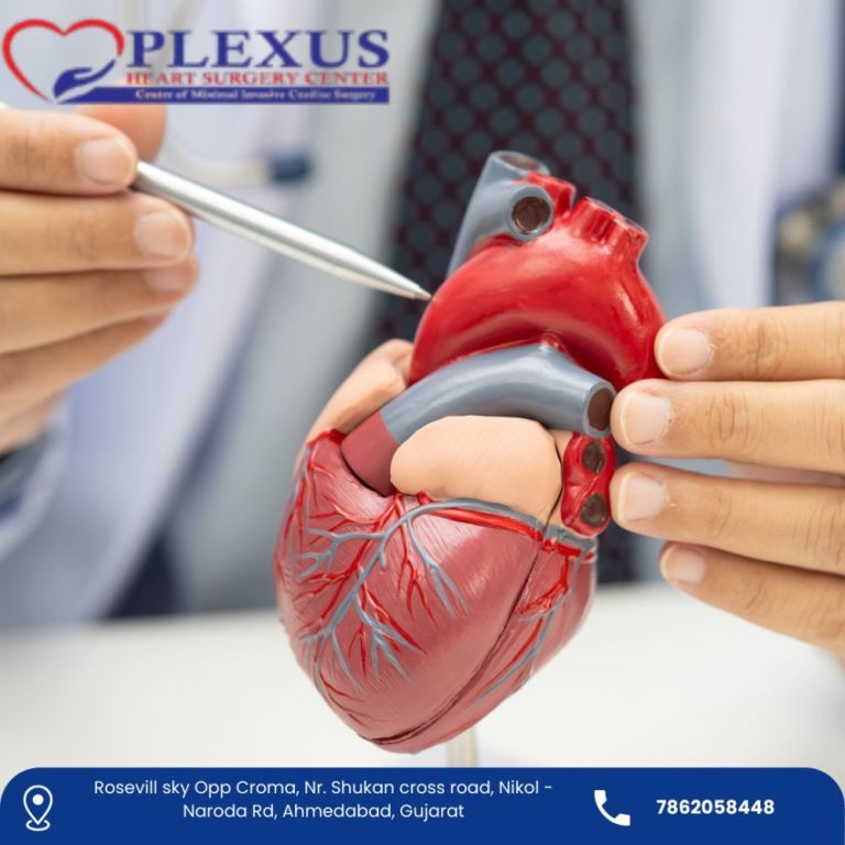 advancedheartvalvesurgeryinahmedabad-drjaydipramani-big-0