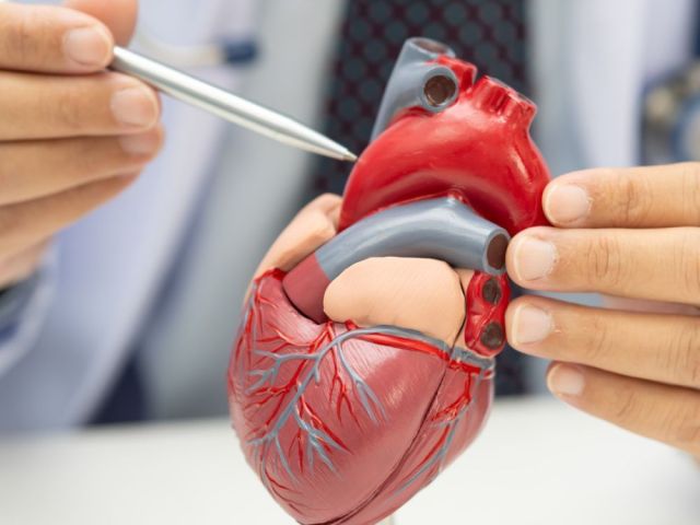 advancedheartvalvesurgeryinahmedabad-drjaydipramani