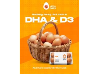 buy-dha-enriched-eggs-online-what-to-check-before-ordering-small-0