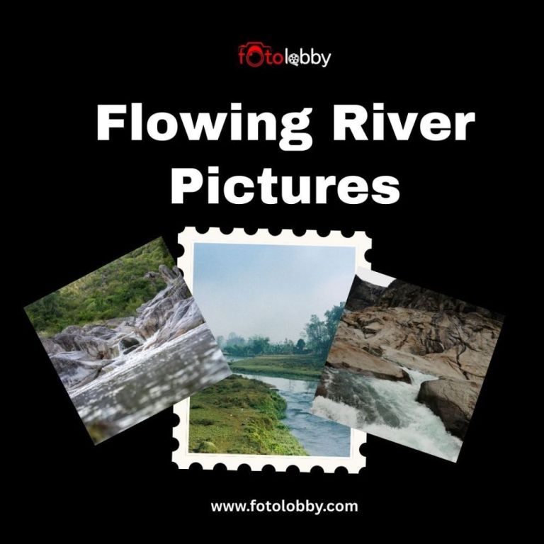 flowing-river-pictures-by-fotolobby-big-0