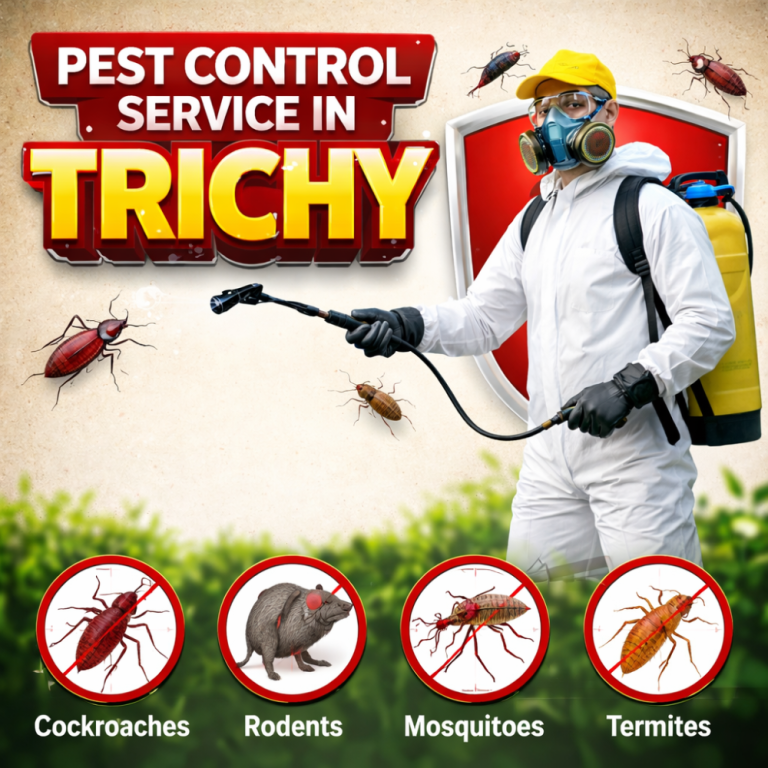 best-pest-control-solutions-in-trichy-for-homes-and-businesses-big-0