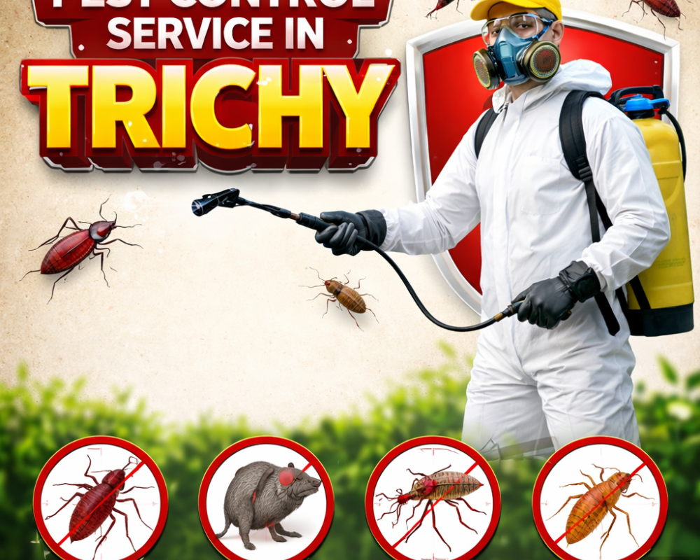 best-pest-control-solutions-in-trichy-for-homes-and-businesses