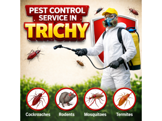 best-pest-control-solutions-in-trichy-for-homes-and-businesses-small-0