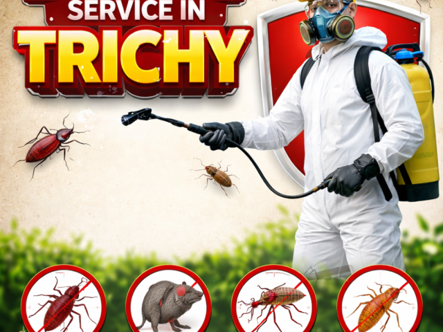 best-pest-control-solutions-in-trichy-for-homes-and-businesses