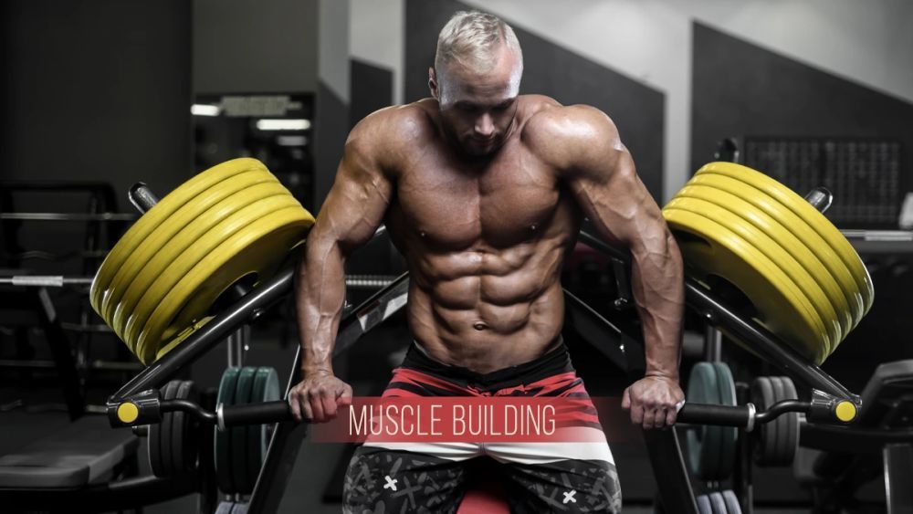 effective-gym-workout-plan-for-strength-size-big-0