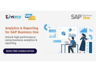 advanced-sap-business-one-analytics-reporting-services-small-0
