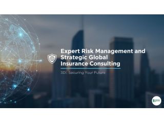 expert-risk-management-and-strategic-global-insurance-consulting-small-0