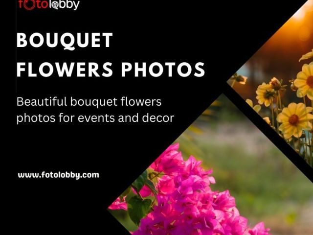 bouquet-flowers-photos-by-fotolobby